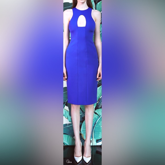 Cushine set Ochs Sleeveless Dress (pre-owned) - Picture 5 of 5